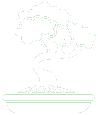 The Logifig bonsai tree logo